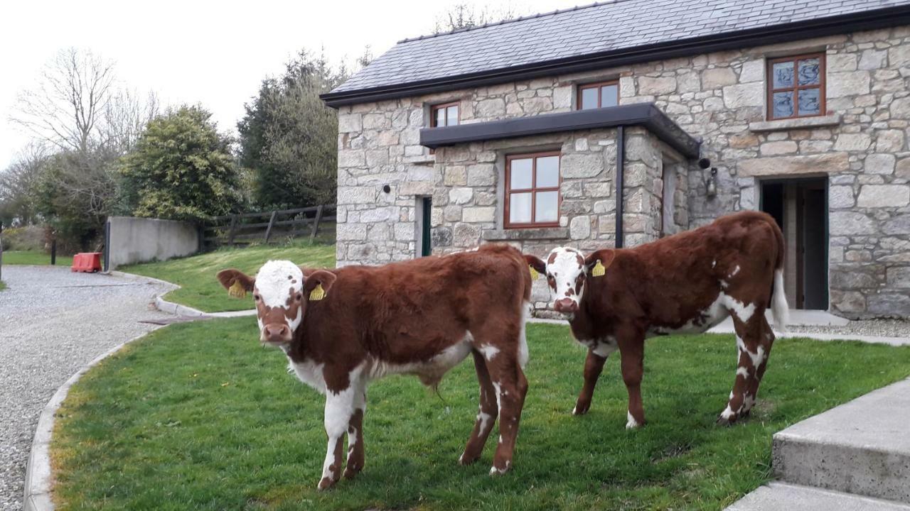 Green Adventure Ecohostel Clonmore Exterior photo